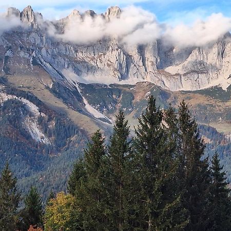 Apartment Unterhollenau Going am Wilden Kaiser Экстерьер фото