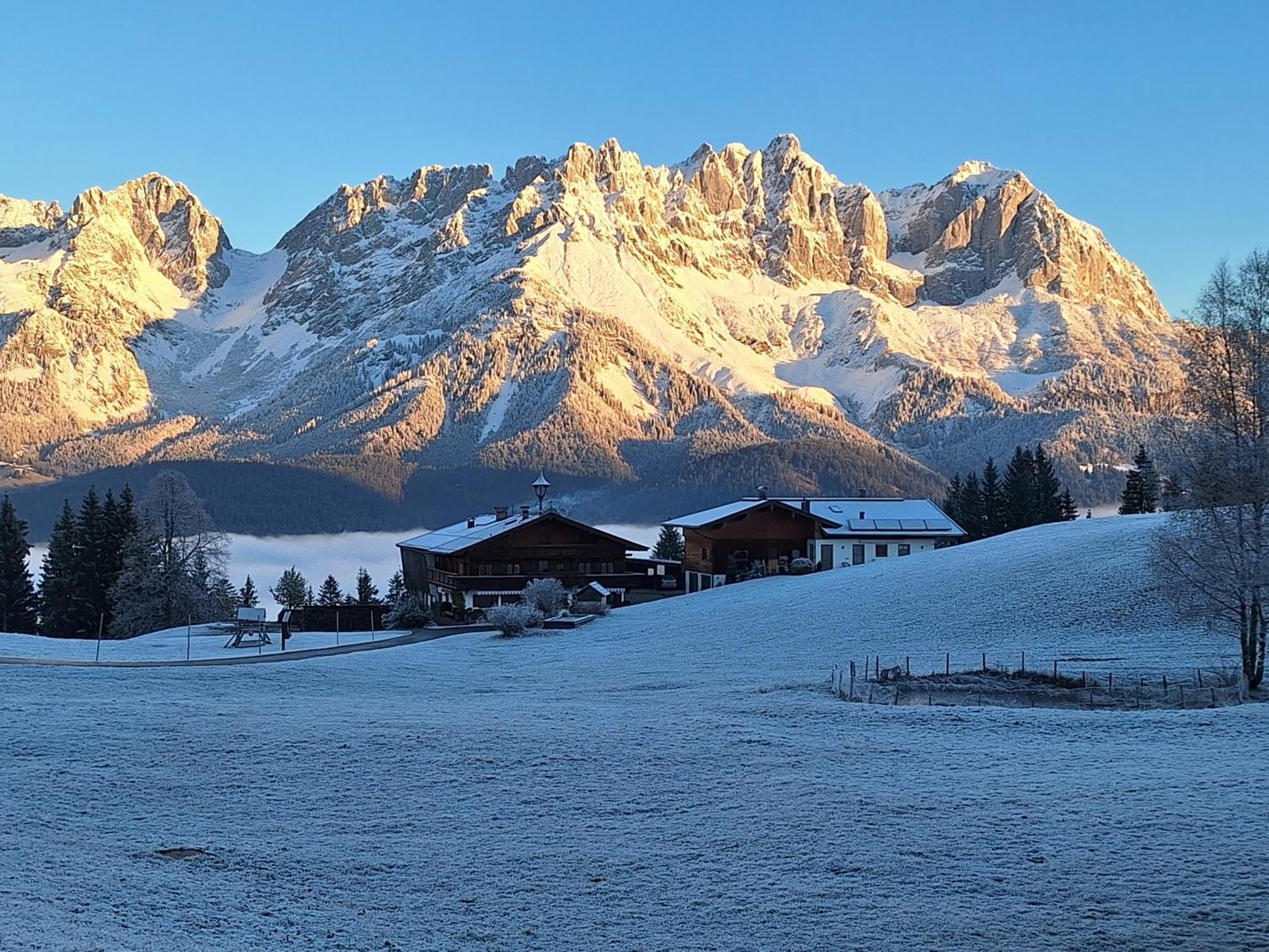 Apartment Unterhollenau Going am Wilden Kaiser Экстерьер фото